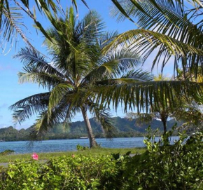 Pacific Treelodge Resort  Kosrae